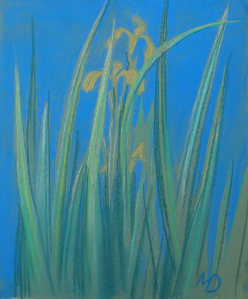2003 "Желтый ирис"
синяя бумага, пастель
Ключевые слова: мара даугавиете,графика,латвия